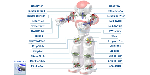 Nao Evolution 5 has 25 Degrees of Freedom