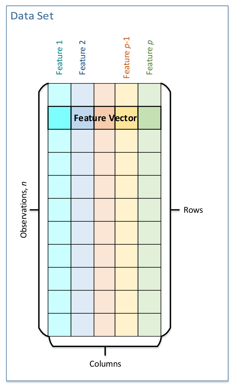 Dataset