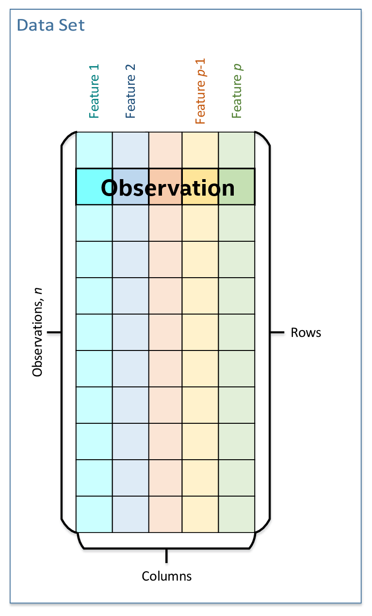 Dataset