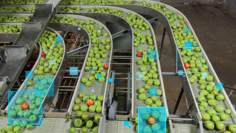 A close-up view of four sorting conveyors filled with green apples in a produce processing facility. Blue boxes are shown over a few red apples in the image, representing the output of computer vision‒based analysis used to recognize outliers