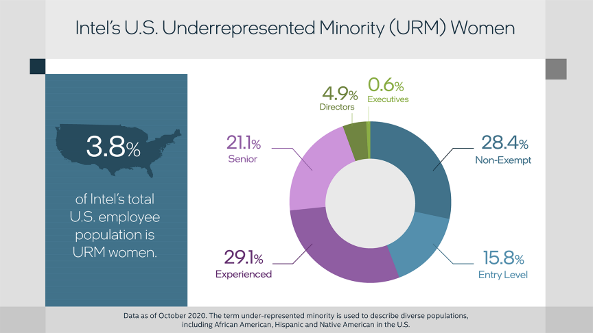 Intel Global Diversity And Inclusion