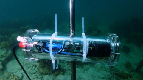 First Artificial Coral Modules Placed off Caribbean Island to Restore Dying  Reefs - EcoWatch
